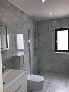 a bathroom with a shower and a toilet and a sink at Pool Villa Vistamar in Novalja