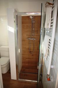 Koupelna v ubytování ApartHome + 36 fotografií