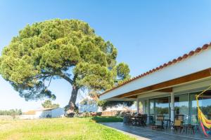 una casa con un gran árbol detrás en Villa do Pinheiro, en Grândola