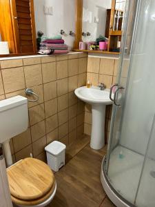 a bathroom with a toilet and a sink and a shower at Mansarda IGUANA in CTA