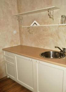 una cocina con fregadero y encimera en Vintage H&R St Anna, en Sofía