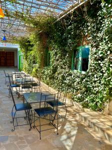 Zahrada ubytování Hôtel Khalwa