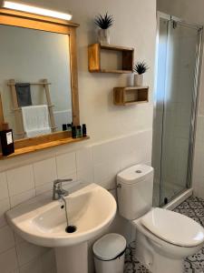 a bathroom with a sink and a toilet and a mirror at Apartamentos Sa Barda - Emar Hotels in Sant Ferran de Ses Roques +9 photos