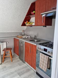 Η κουζίνα ή μικρή κουζίνα στο Arek