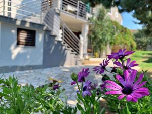 Zahrada ubytování Apartments Volaric