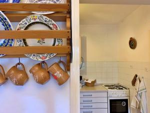 Kuchyň nebo kuchyňský kout v ubytování Apartments Volaric