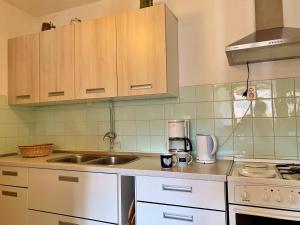 Kuchyň nebo kuchyňský kout v ubytování Apartments Volaric