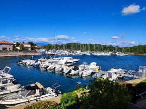 Φυσικό τοπίο κοντά σε αυτό το διαμέρισμα