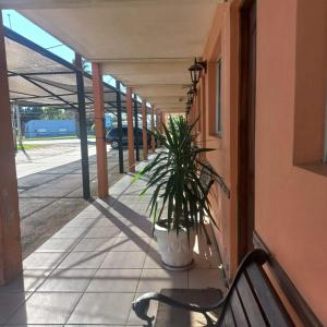 Fotografie z fotogalerie ubytování Aparthotel Agave v destinaci Termas del Daymán