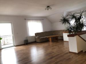 Galeriebild der Unterkunft Pensiunea Magnolia in Ocna Şugatag