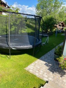 Zahrada ubytování Ferienwohnungen Lederstube Seidl