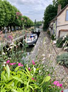 Zahrada ubytování La maison Virginie 1 à 2 pers charmant hyper centre- cour- parking- linge- fibre- proximité lac canal piscine