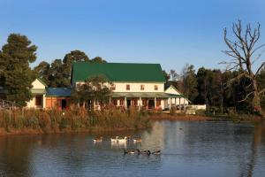 L'Heritage Retreat في Wildernis: مجموعة من البط تسبح في بحيرة امام مبنى