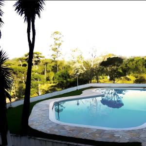 a swimming pool with a palm tree next to it at Pousada Recreio Girassol in São Roque