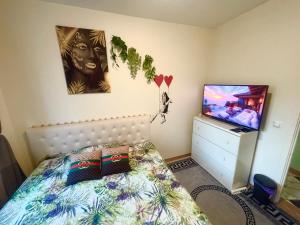 a bedroom with a bed and a flat screen tv at Comfortable room in Oslo