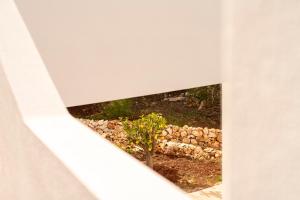 Fotografie z fotogalerie ubytování Botanico Villa & Suites v destinaci Specchiolla