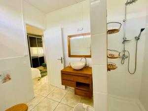 a bathroom with a sink and a shower with a mirror at Les Orchidées de Sainte-Anne in Sainte-Anne +24 photos
