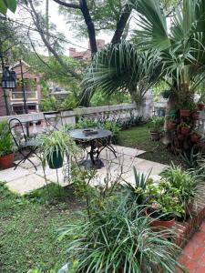 En have udenfor Departamento verde en casco histórico