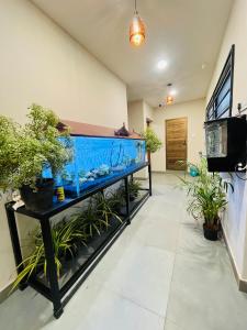 a large aquarium in a room with plants at Marhaba inn in Kozhikode +21 photos