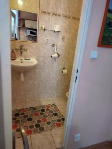 a bathroom with a sink and a shower at Delux Kolonada in Karlovy Vary +9 photos