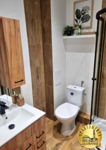 Kúpeľňa v ubytovaní Apartamenty Bolesławiec Prusa + 8 fotografií