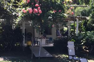 un jardín con rosas rosas colgando de un árbol en Magical Lake Cabin - Ski Shack, en Camacorinto