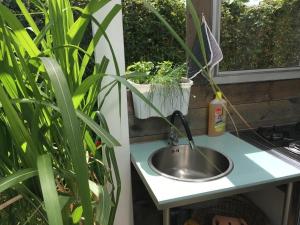 Zahrada ubytování Bungalow Mecklenburgische Seenplatte + 16 fotografií