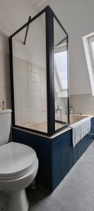 a bathroom with a tub and a toilet and a shower at Cocon sous les toits - vue sur les châteaux et le vignoble - proche centre ville - parking gratuit in Sélestat