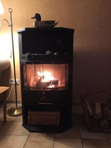 a fireplace with a duck sitting on top of it at Ferienwohnung Wiesenblick in Westerland (Sylt)