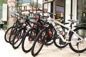 Jízda na kole v ubytování Ma Pi Leng Horizon Hostel - Tour & Motobike rental nebo okolí