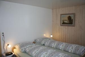 Fotografie z fotogalerie ubytování Casa Uccello v destinaci Wildhaus