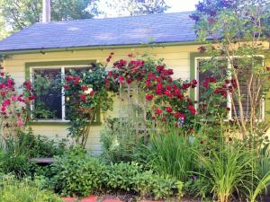 Κήπος έξω από το Charming Garden Cottage