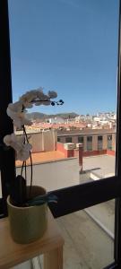 a flower in a basket on a window sill at Estudio centro de La Laguna in La Laguna