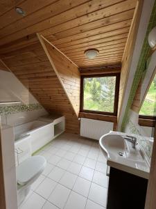 een badkamer op zolder met een toilet en een wastafel bij Malina in Zawóz