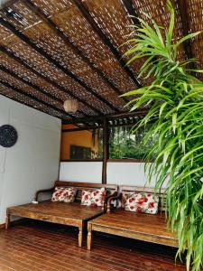 a porch with two benches and a palm tree at Pousada AimeMaresias - Casa 2 quartos na mata -01 in São Sebastião +70 photos