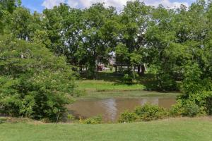 a pond in a park with trees and a house at River Cabin in Pigeon Forge