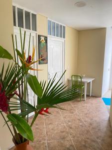 a room with a table and a potted plant at Finca Andalucia con Piscina en Mesitas in El Colegio