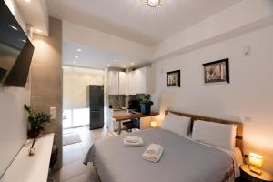 TV a/nebo společenská místnost v ubytování Modern studio apartment A