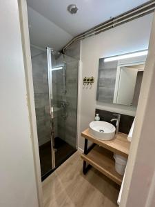 a bathroom with a shower and a sink and a toilet at Olydea Le Hameau de Vouvant in Vouvant +26 photos