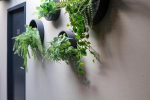 Fotografie z fotogalerie ubytování Moeke Mooren v destinaci Appeltern