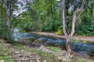 a stream in the middle of a wooded area at Henderson's Riverside in Pigeon Forge