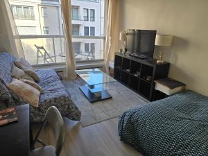 Una sala de estar con un sofá y un televisor. en Cosy Studio Close Eiffel Tower, en París
