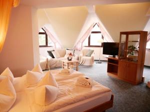 TV a/nebo společenská místnost v ubytování Hotel Waldesruh