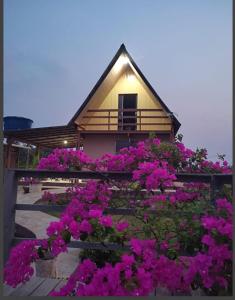 a house with pink flowers in front of it at Chalé da Lourdes in Santarém