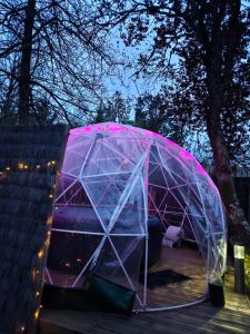 a large iguana tent in a garden at night at Les Atypiques de Sologne in Lanthenay