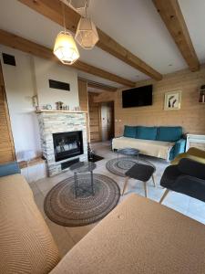 un salon avec un canapé et une cheminée dans l'établissement Borówka, à Zawóz