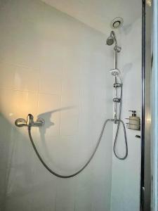 a shower with a shower head in a bathroom at Maison duplex, 2 chambres, terrasse en rooftop in Saint-Ouen +31 photos