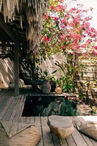 a small pond in a garden with pink flowers at Anacardier Privé Hotel in Atins