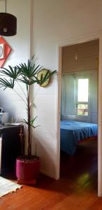 a bedroom with a potted plant next to a bed at Encantos da Lagoa in Florianópolis