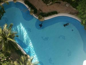 Una vista aérea de una gran piscina con delfines. en Seaview appointment 3 bedroom, en Tanjung Bungah